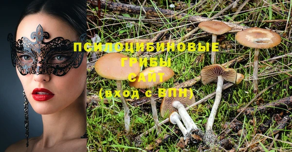 спайс Алзамай